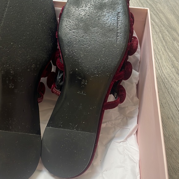 Alexander Wang mules- 💯 authentic!!! - Picture 8 of 11